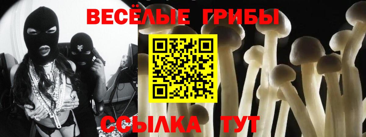 Псилоцибиновые грибы ЛСД  Вход с VPN  Алапаевск  Псилоцибиновые грибы прущие грибы 